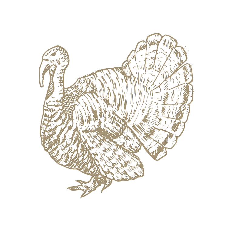 PAVO
