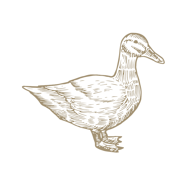 PATO