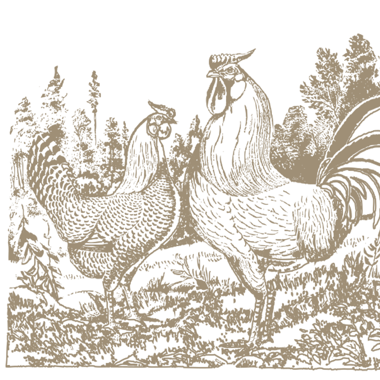 NUESTRA SELECCIÓN DE AVES